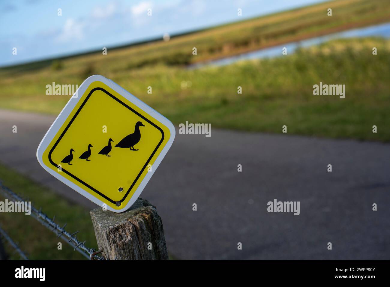 Cartello sulla pista ciclabile dell'isola di Pellworm, Frisia settentrionale, Schleswig-Holstein, Germania Foto Stock