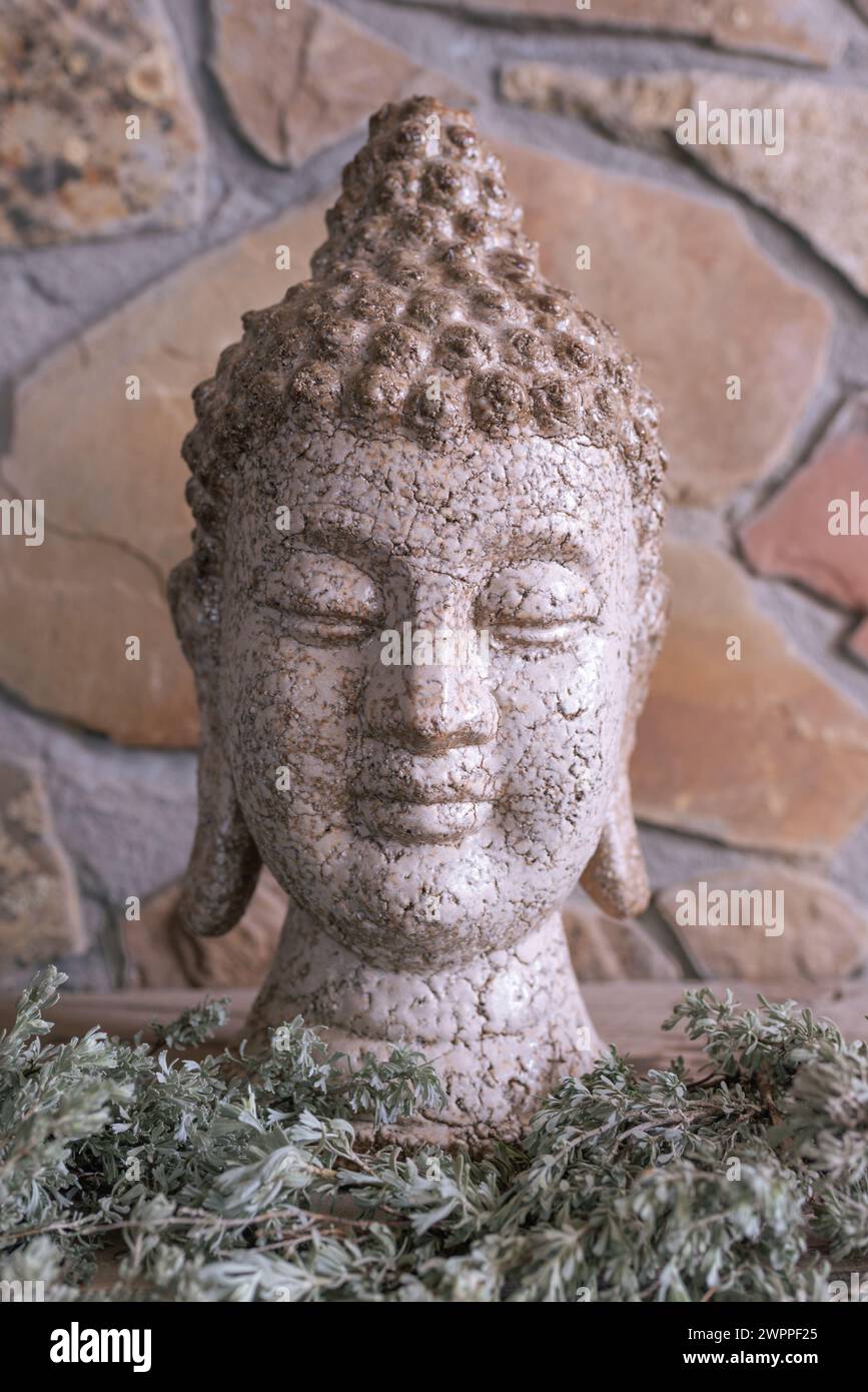 Testa di Buddha beige con una finitura scricchiolata, rami di pennello intorno alla sua base, un muro di roccia dietro di essa. Foto Stock