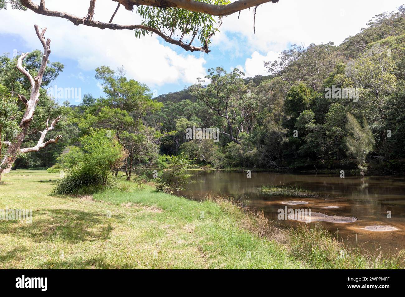 Audley Village nel Sydney Royal National Park e area picnic pianeggiante con alberi di fico accanto al fiume hacking, New South Wales, Australia Foto Stock