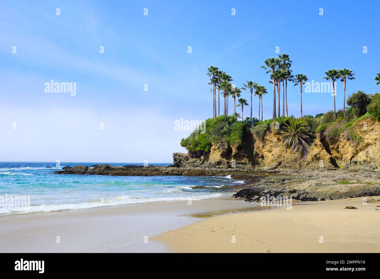 Palme che costeggiano le coste sabbiose di Laguna Beach, California, USA Foto Stock