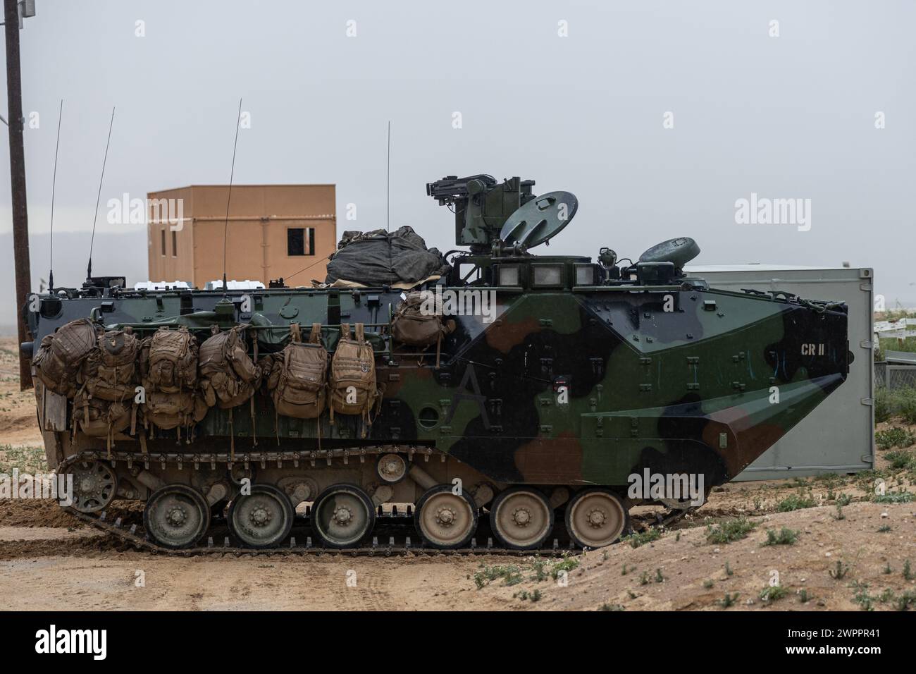 Un veicolo d'assalto anfibio del corpo dei Marines degli Stati Uniti assegnato al 3rd Amphibious Assault Battalion, 1st Marine Division, è messo in scena in una posizione difensiva durante l'esercitazione di combattimento della Marine Air-Ground Task Force come parte del Service Level Training Exercise 2-24 al Range 220, Marine Corps Air-Ground Combat Center, Twentynine Palms, California, 20 febbraio, 2024. MWX è l'evento culminante di SLTE 2-24, che migliora le capacità operative e la letalità dei membri del servizio degli Stati Uniti e degli alleati come MAGTF. (Foto del corpo dei Marines degli Stati Uniti di Josiah Jorgensen) Foto Stock