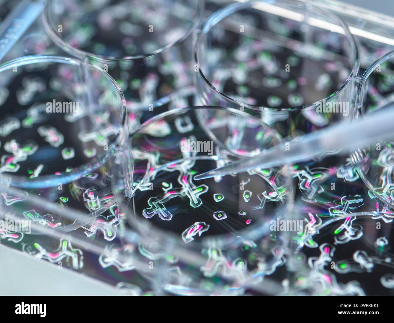 Ricerca proteica, immagine concettuale Foto Stock