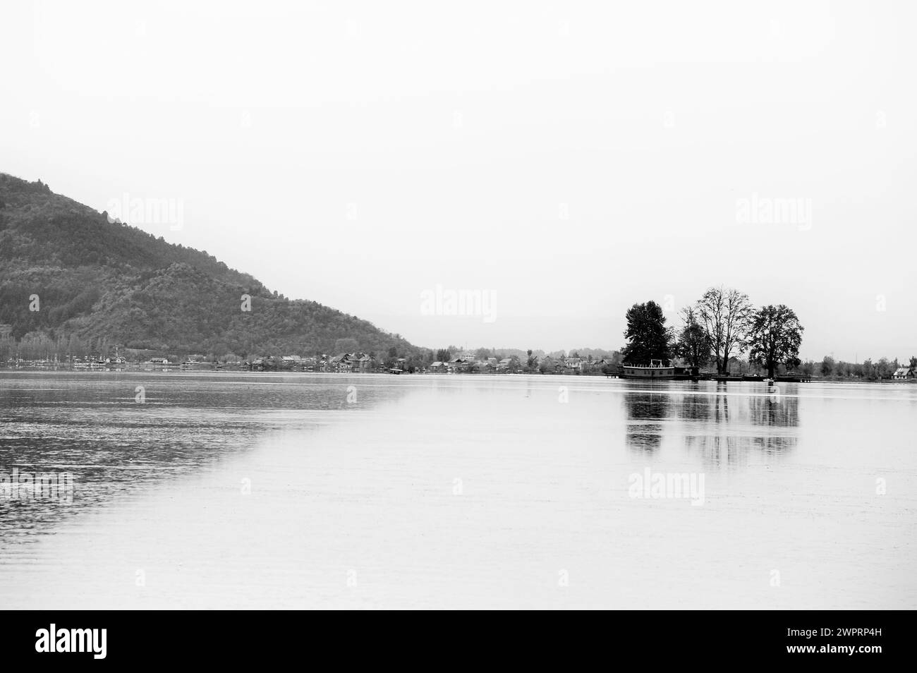 Char Chinar Trees, dal Lake, Srinagar, Kashmir, Jammu e Kashmir, India, Asia Foto Stock