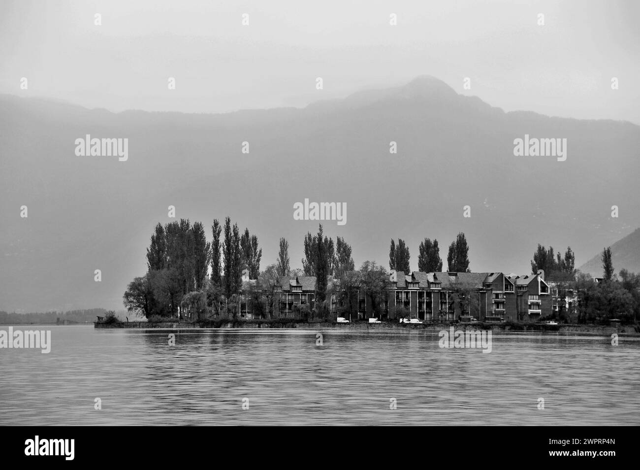 Pini, lago dal, Srinagar, Kashmir, Jammu e Kashmir, India, Asia Foto Stock