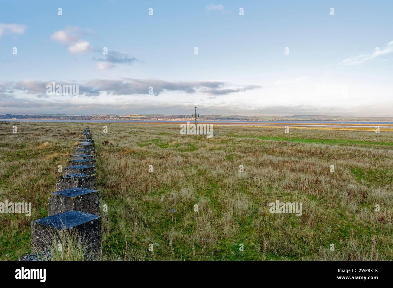 Una linea di carri armati della seconda guerra mondiale si estende in lontananza verso l'estuario Tay a Tentsmuir Point vicino a Dundee. Foto Stock