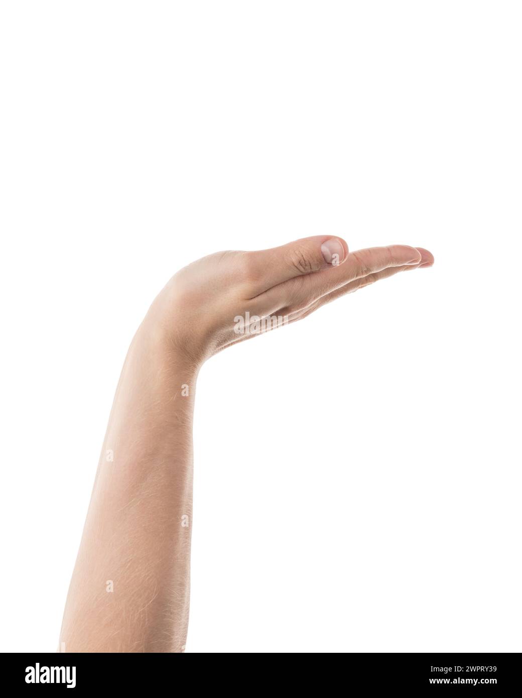 Uomo adulto che tiene in mano qualcosa isolato su sfondo bianco, molto dettagliato Foto Stock