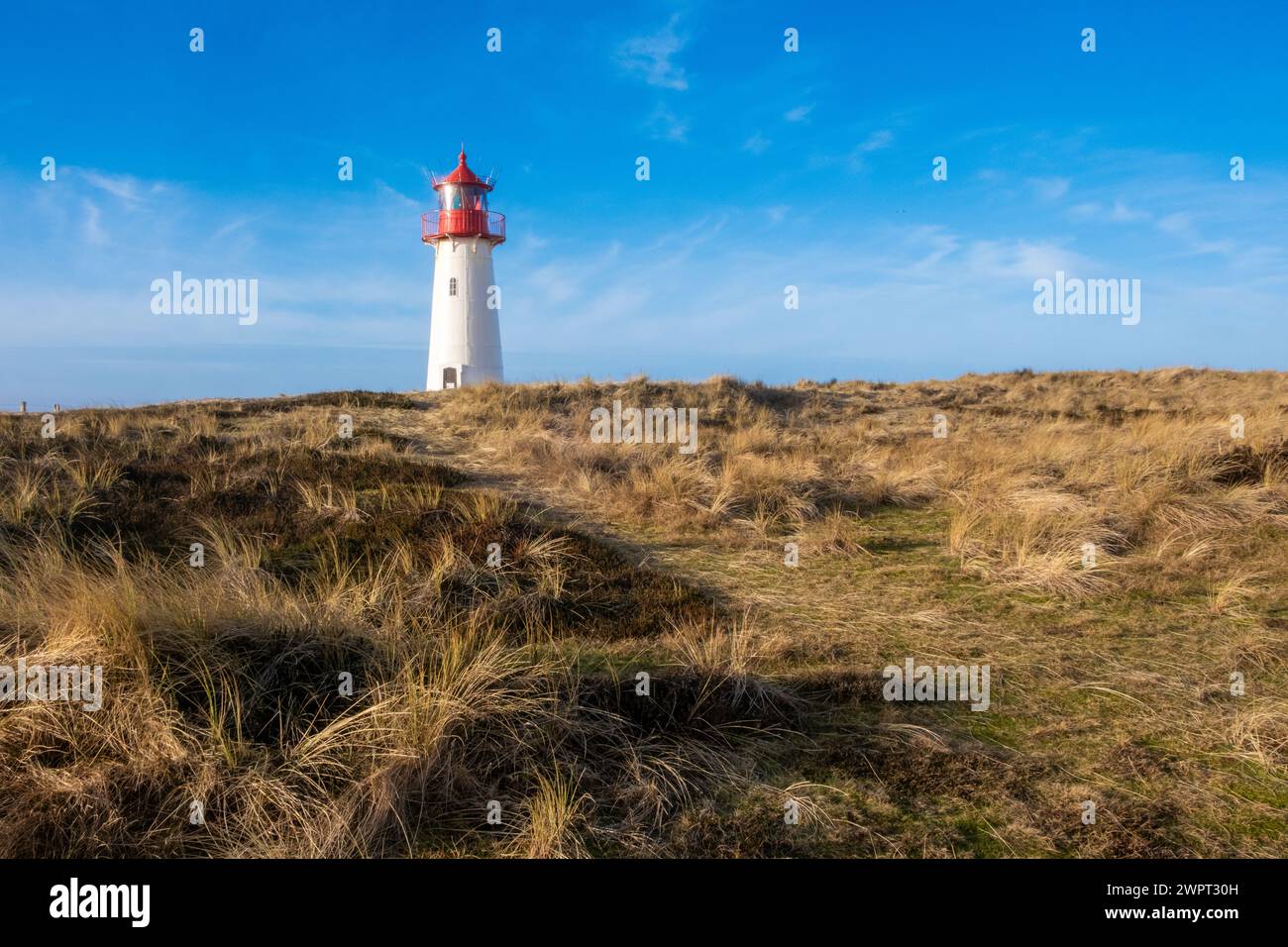 Lighthouse List Ost, Ellenbogen, Sylt, Germania Foto Stock