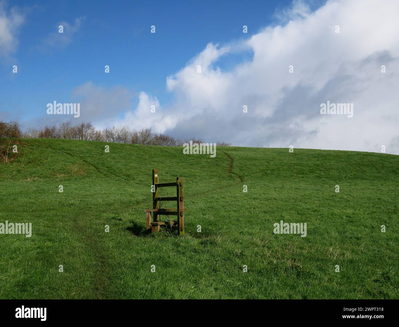 Struttura in legno nel campo agricolo per facilitare l'accesso degli escursionisti lungo un sentiero pedonale quando è in funzione la recinzione del bestiame. Devon, Regno Unito Foto Stock
