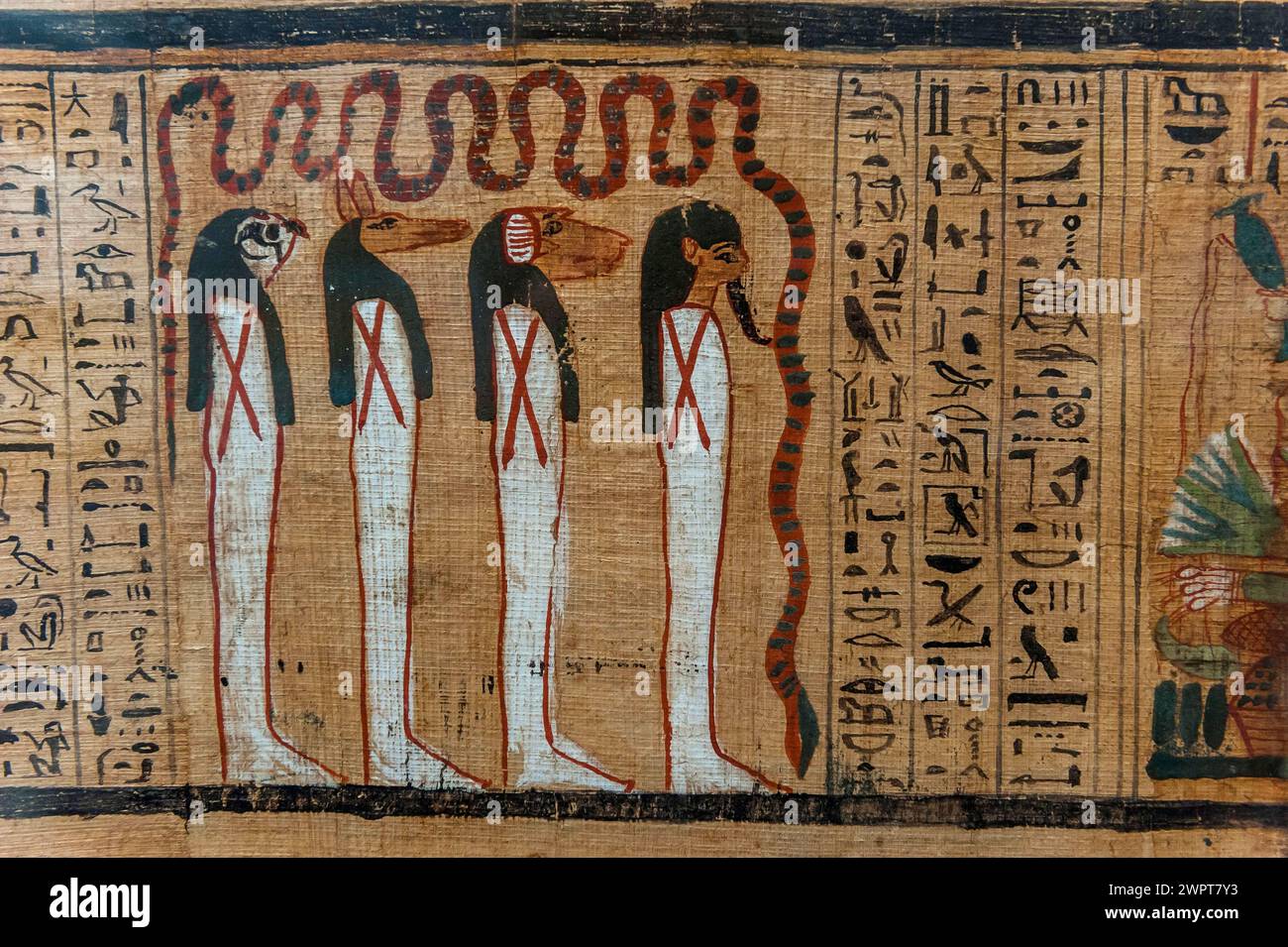 Geroglifici su papiro, messaggio, disegno, egiziano, regno, antichità, storia mondiale, storia, tradizione, cultura, storia culturale, pietra, segno Foto Stock