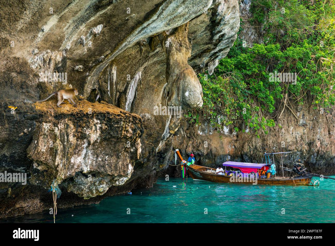 Spiaggia delle scimmie a Maya Bay, scimmie, scimmie, animali, barca, barca in legno, baia, baia del mare, mare, oceano, Mare delle Andamane, tropici, tropicale, isola Foto Stock