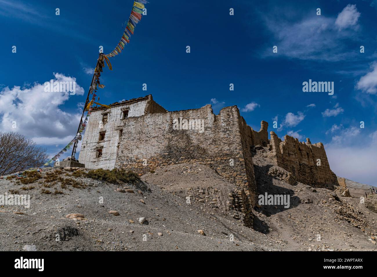 Vecchio palazzo, dzong nel villaggio di Tsarang, Regno di Mustang, Nepal Foto Stock Vecchio palazzo, dzong nel villaggio di Tsarang, Regno di Mustang, Nepal Foto Stock