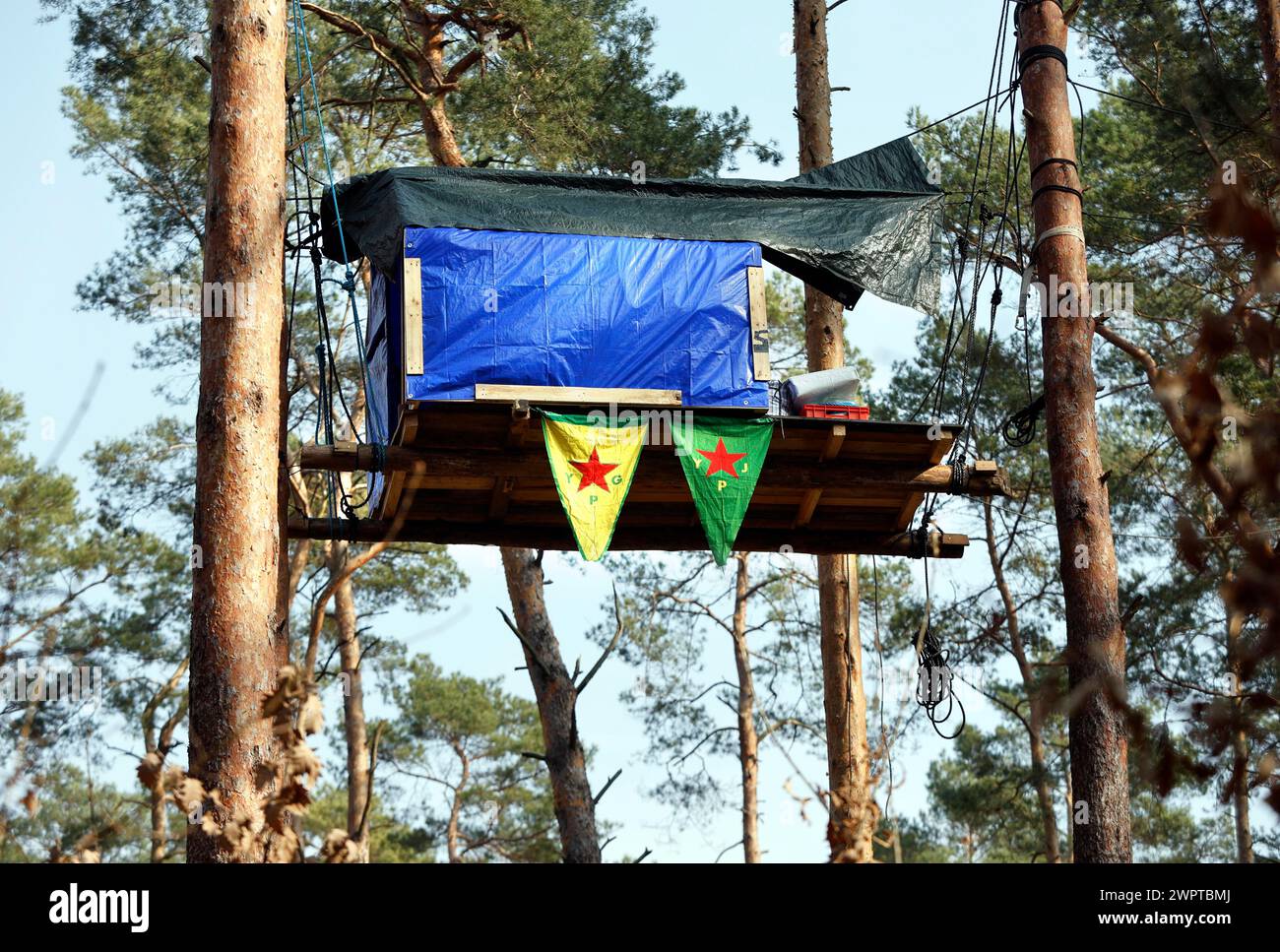 Una casa sull'albero nella foresta vicino Gruenheide. Il gruppo di attivisti Stop Tesla ha costruito case sugli alberi nella foresta per protestare contro i piani Foto Stock