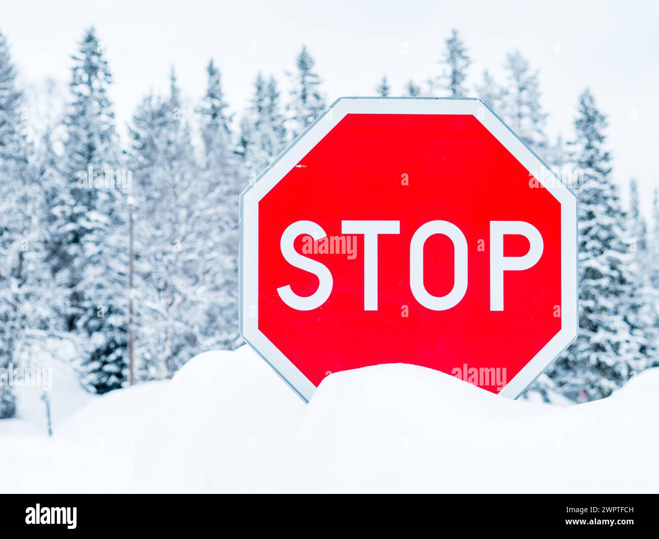 Un segnale di stop rosso si distingue contro il terreno bianco ricoperto di neve sottostante, creando un forte contrasto. Il paesaggio invernale esalta ulteriormente le visi Foto Stock