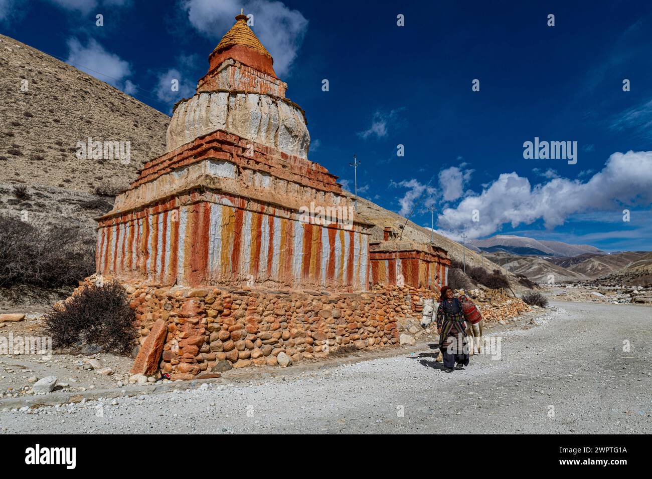 Donna con il suo cavallo, stupa buddista colorato di fronte al paesaggio di montagna, al paesaggio erosivo e alle case di Garphu dietro, Garphu Foto Stock