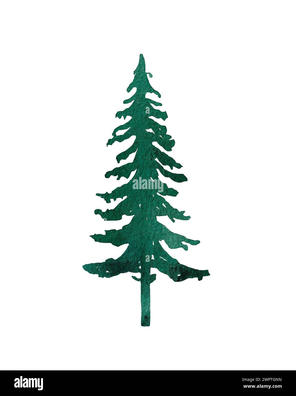 Albero di Natale acquerello. Illustrazione disegnata a mano. Foto Stock