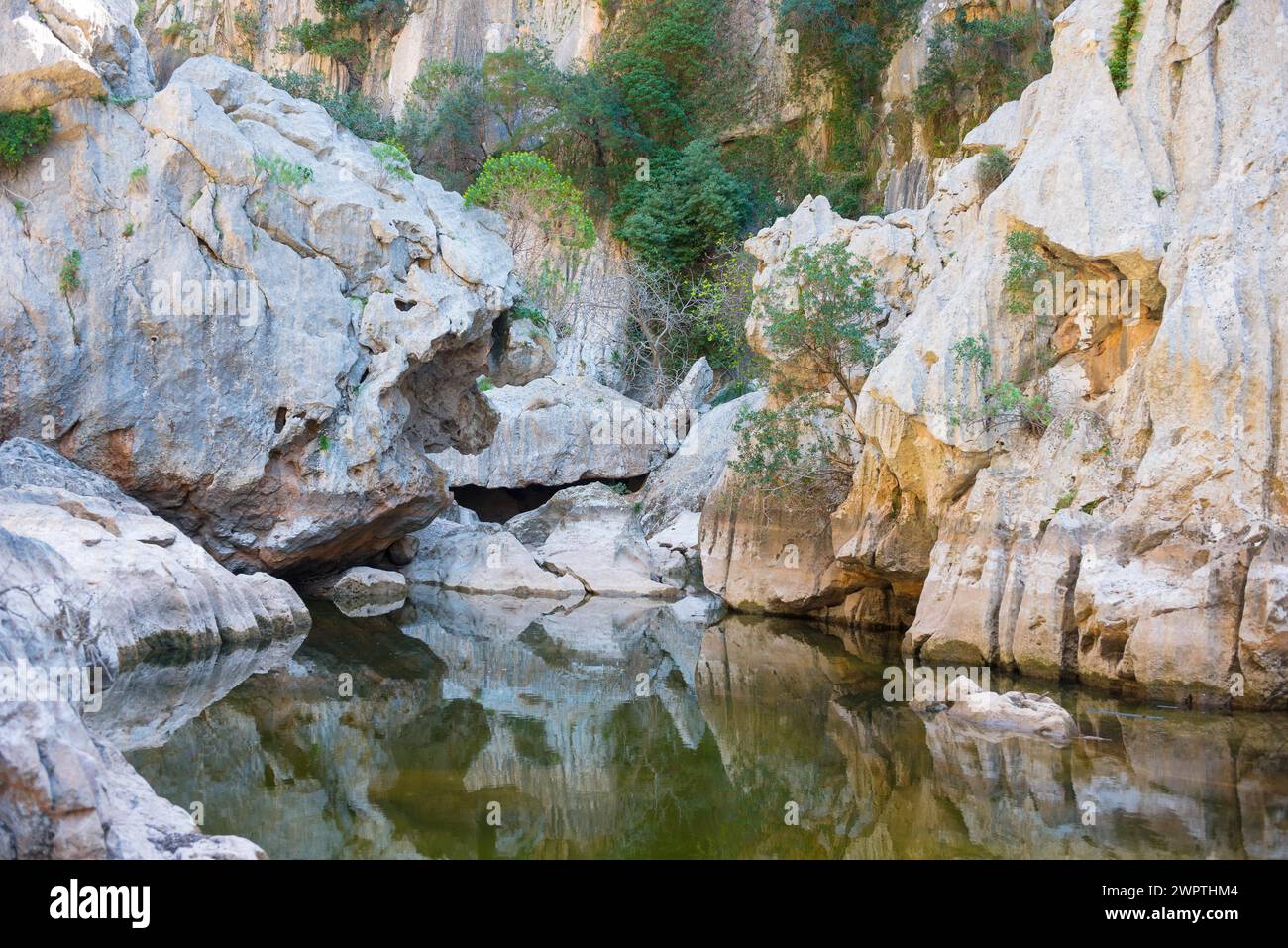 Torrent de Pareis, superficie d'acqua calma in un letto di un torrente di montagna circondato da impressionanti formazioni rocciose quasi bianche e scarse Foto Stock