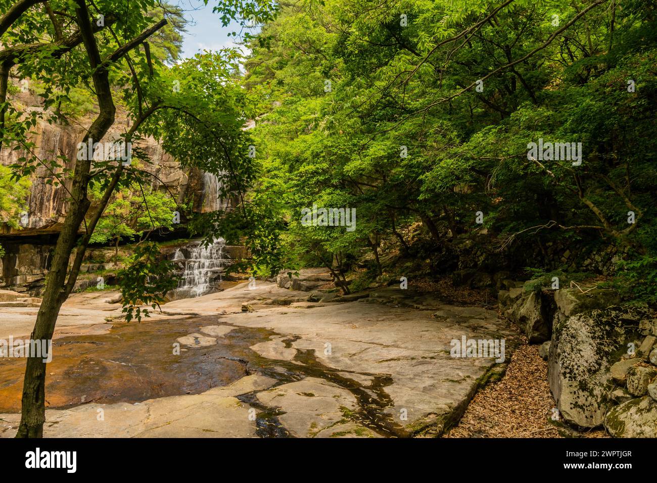 Dolce cascata in un tranquillo ambiente forestale con alberi e rocce illuminate dal sole, in Corea del Sud Foto Stock