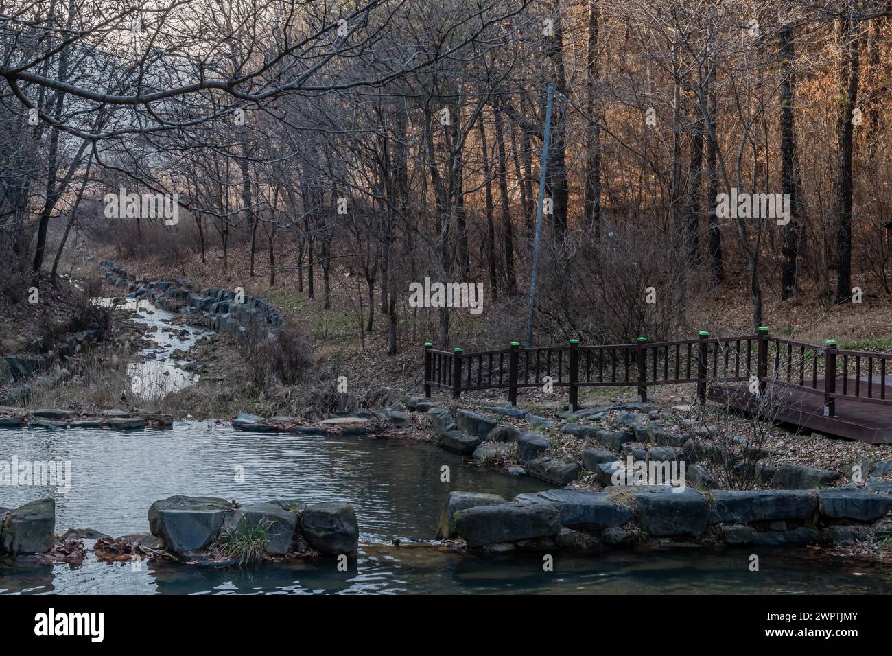 Ruscello che scorre attraverso un'area boscosa con un ponte al crepuscolo, creando una scena pacifica, in Corea del Sud Foto Stock