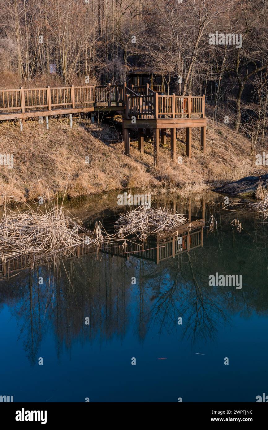 Una scena tranquilla con un ponte in legno che si affaccia sull'acqua blu con riflessi sugli alberi, in Corea del Sud Foto Stock