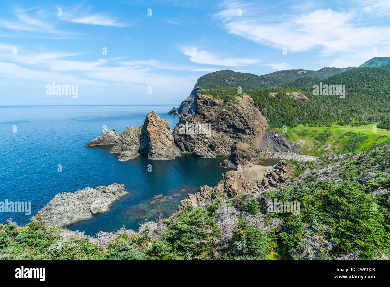 Punto panoramico sulla costa rocciosa e sull'Oceano Atlantico nel Bottle Cove Provincial Park, Bay of Islands, Terranova, Canada Foto Stock