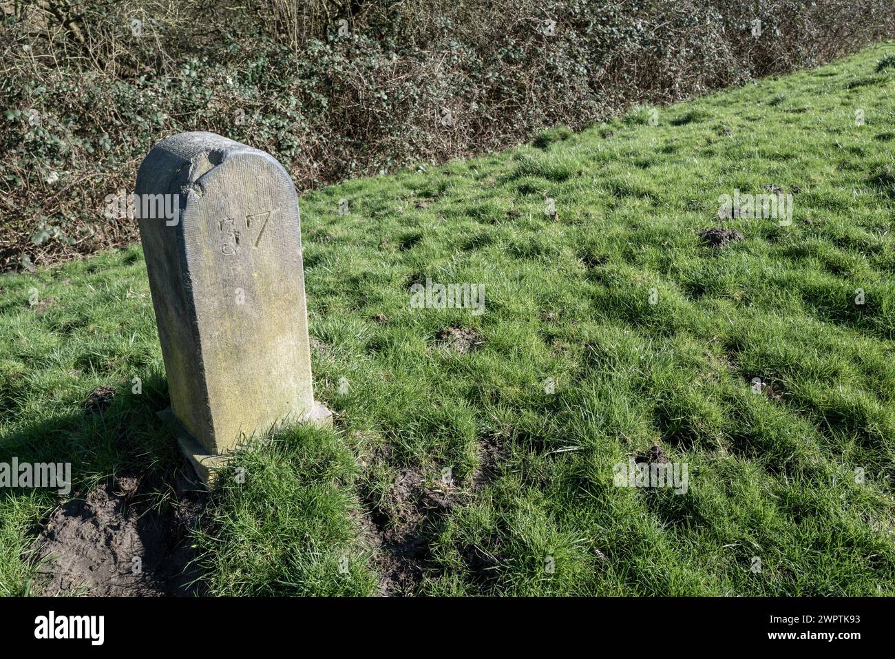 Vecchio pilastro in pietra con data incisa nell'erba sul bordo del percorso Foto Stock