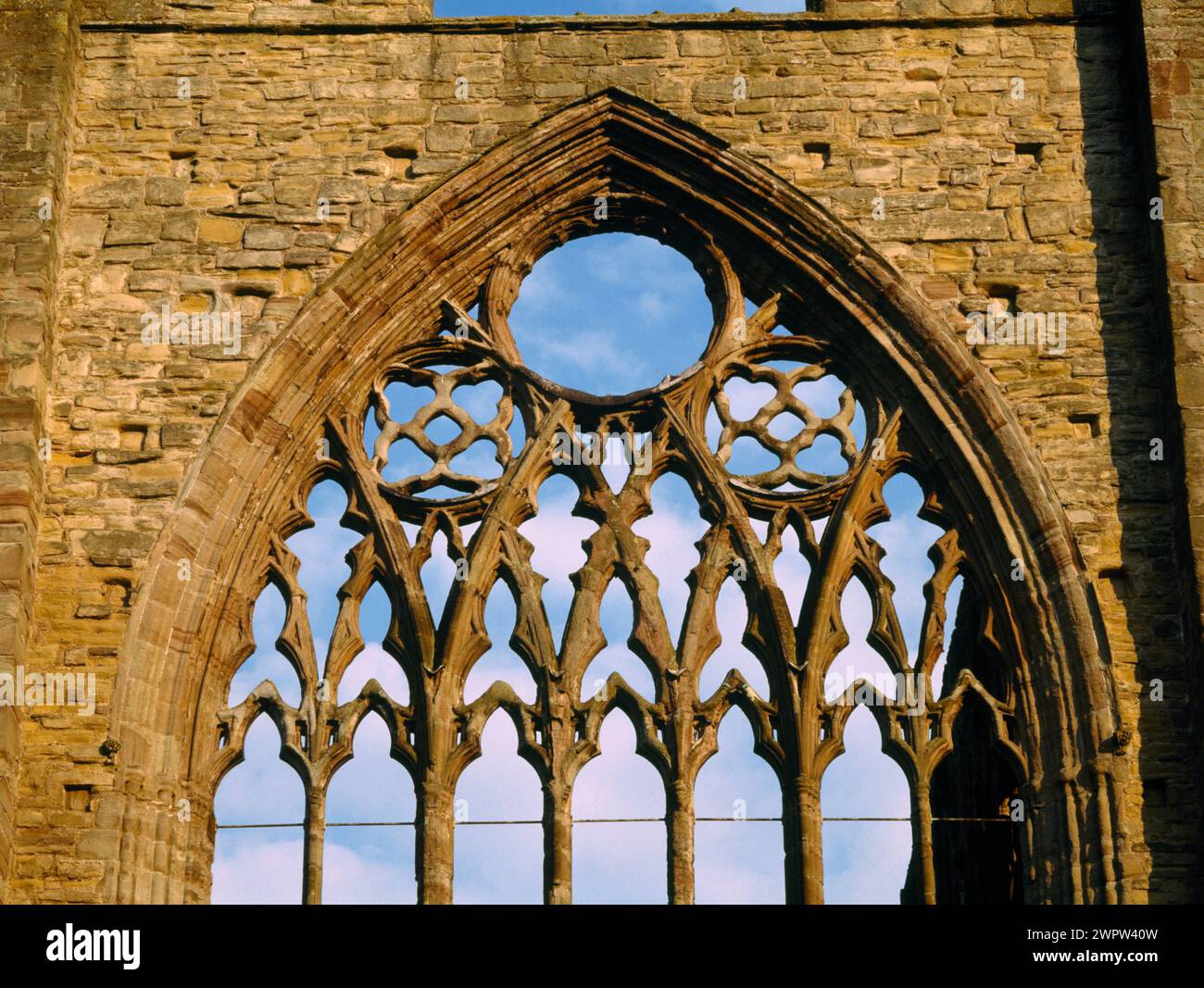 Vista a ovest del traforo nella finestra ovest della chiesa monastica cistercense dell'abbazia di Tintern, Monmouthshire, Galles, Regno Unito. Foto Stock