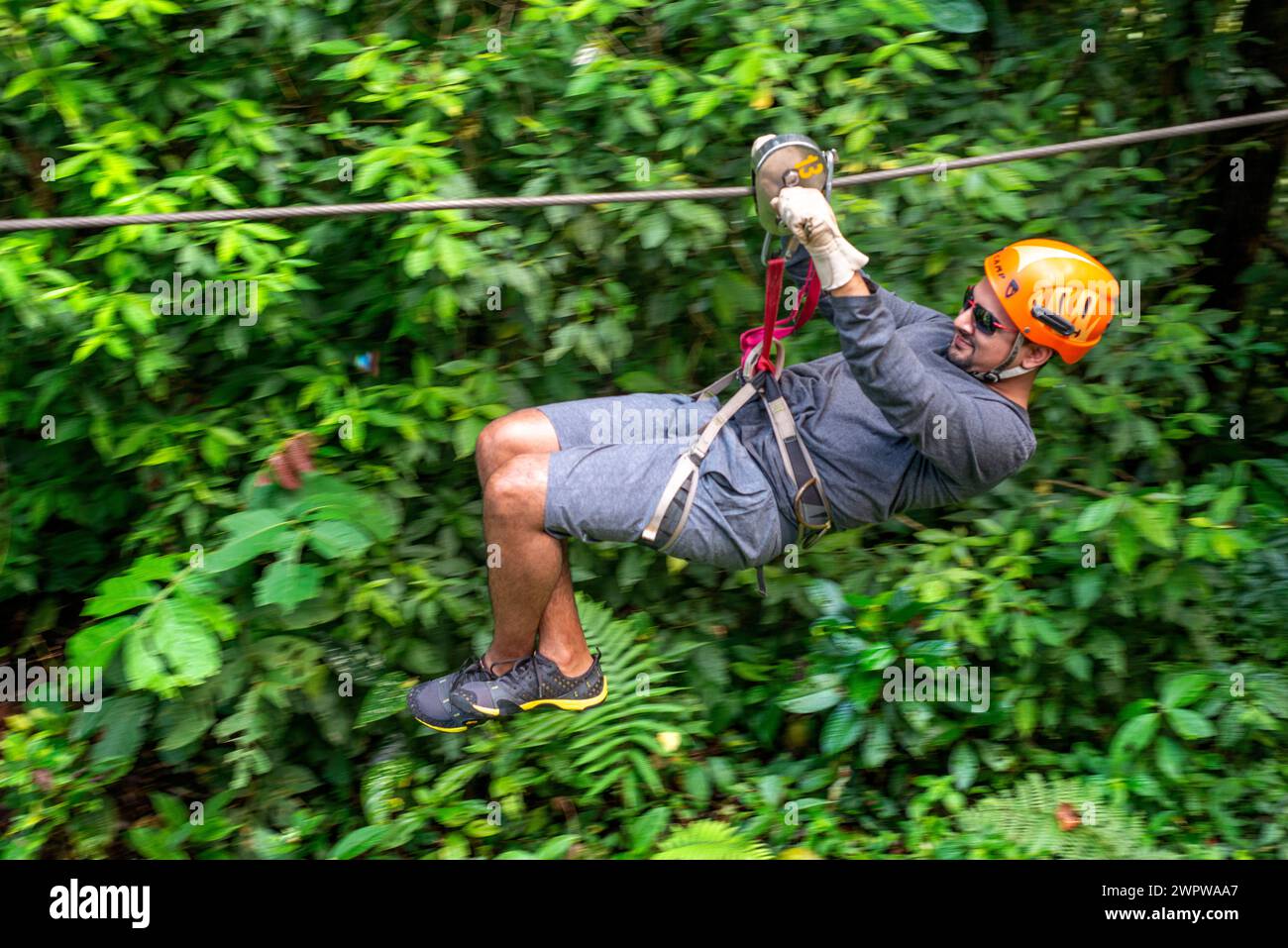 Baldacchino nella foresta di El Castillo, escursioni turistiche sulla zipline Canopy, foresta pluviale, Arenal, Costa Rica Foto Stock