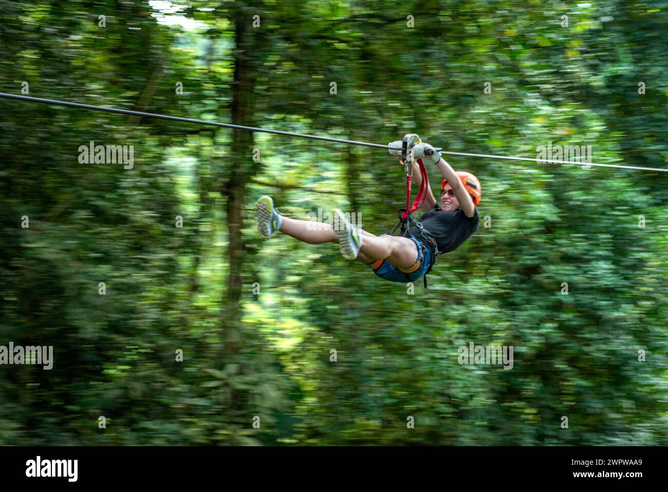 Baldacchino nella foresta di El Castillo, escursioni turistiche sulla zipline Canopy, foresta pluviale, Arenal, Costa Rica Foto Stock