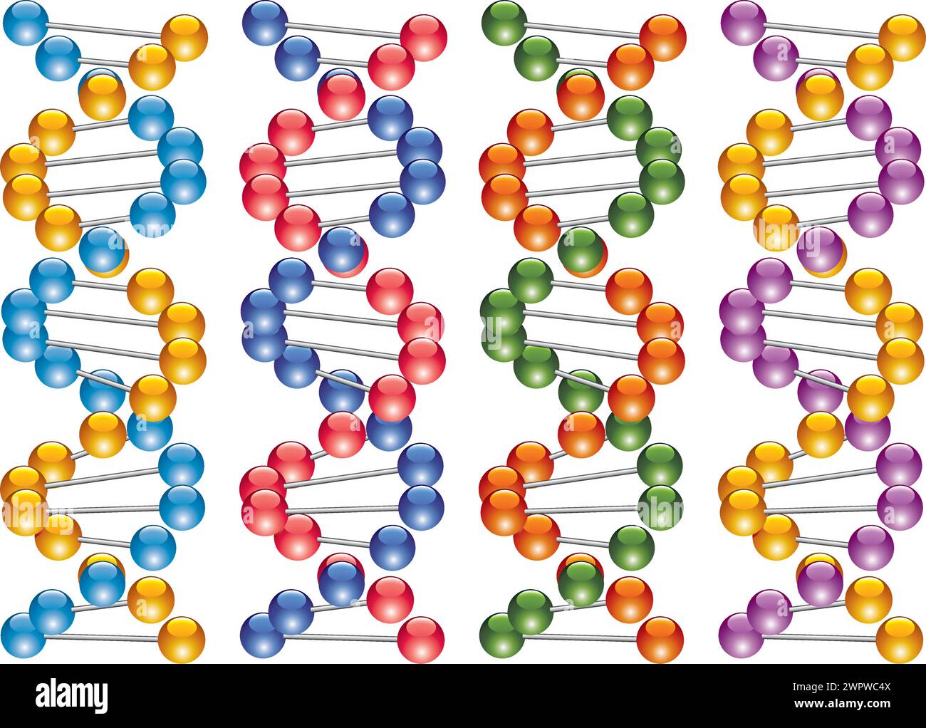 set vettoriale di filamenti di dna colorati Illustrazione Vettoriale