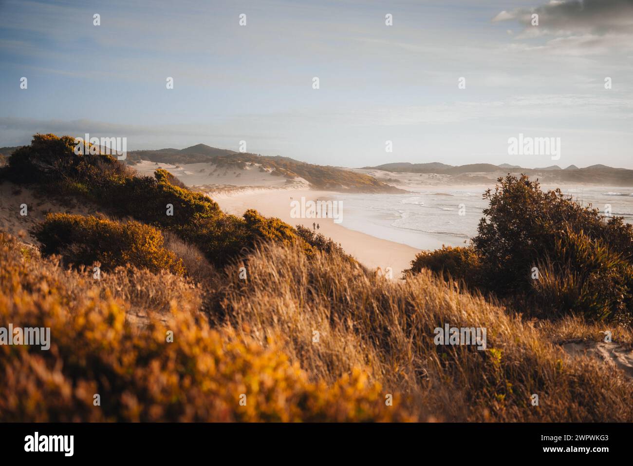 Vista aerea del drone sulla spiaggia di un miglio durante l'alba al tramonto con dune di sabbia. Forster, grandi Laghi, Australia Foto Stock