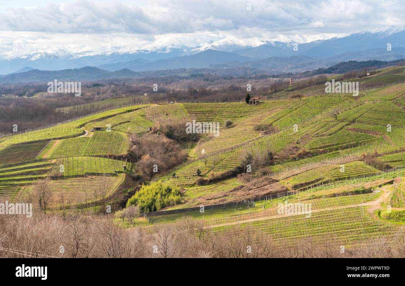 Paesaggio delle colline viticole di Gattinara con catena del Monte Rosa innevata sullo sfondo, provincia di Vercelli, Piemonte, Italia Foto Stock