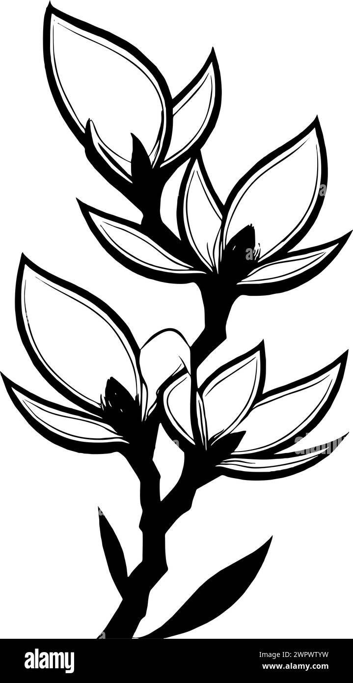 semplice disegno grafico nero del fiore magnolia, logo, tatuaggio Foto Stock