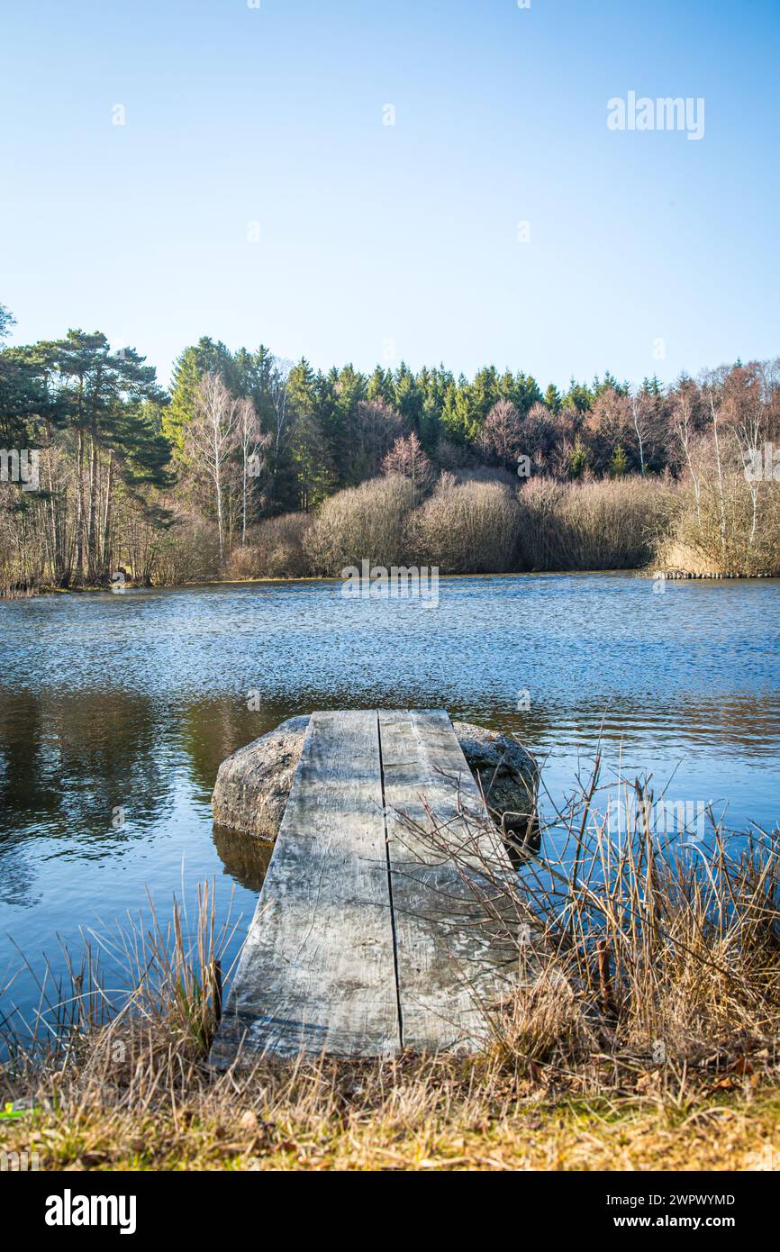 Molo in uno stagno di carpe nel Waldviertel, Austria Foto Stock