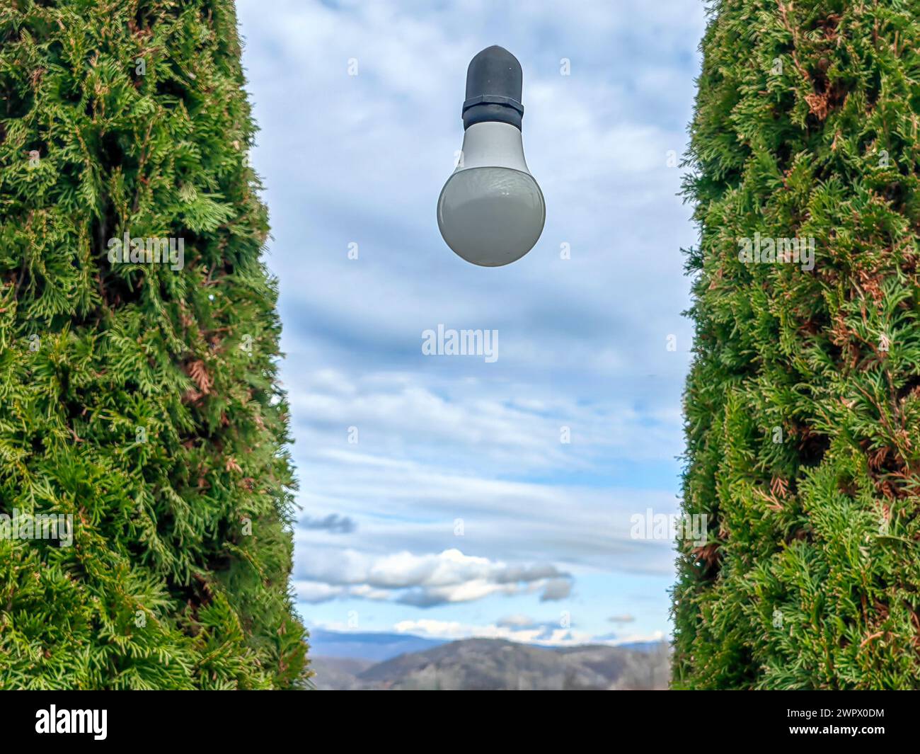 Giardino incantato . Lampadina tra panorami verdeggianti. Galleggiare nell'aria. Foto Stock