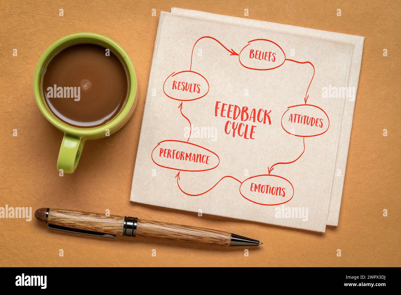 credenza, atteggiamento, emozione, prestazioni, risultato - concetto del ciclo di feedback, sviluppo aziendale e personale, schizzo su tovagliolo con caffè Foto Stock