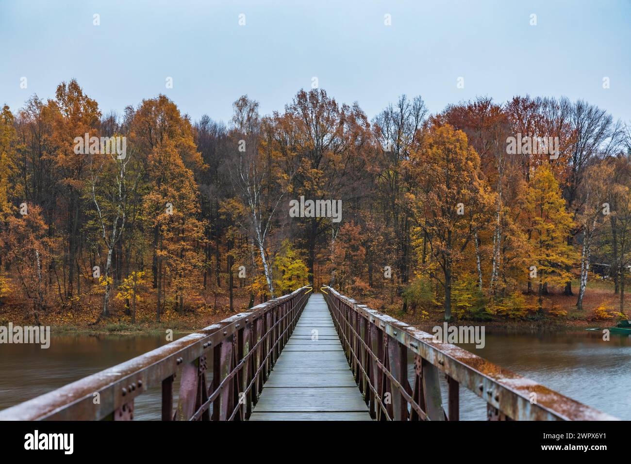 Splendida vista sul lungo ponte in acciaio e legno sul grande e silenzioso lago con alberi d'oro autunnali e cespugli intorno al mattino nuvoloso e piovoso Foto Stock