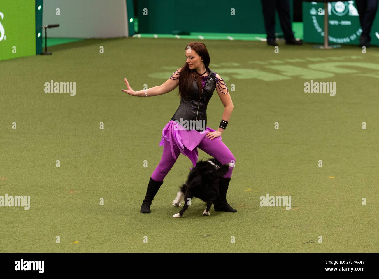 CRUFTS 2024 MAIN ARENA INTERNATIONAL FREESTYLE HEELWORK ALLA FINALE MUSICALE GENTING ARENA Foto Stock