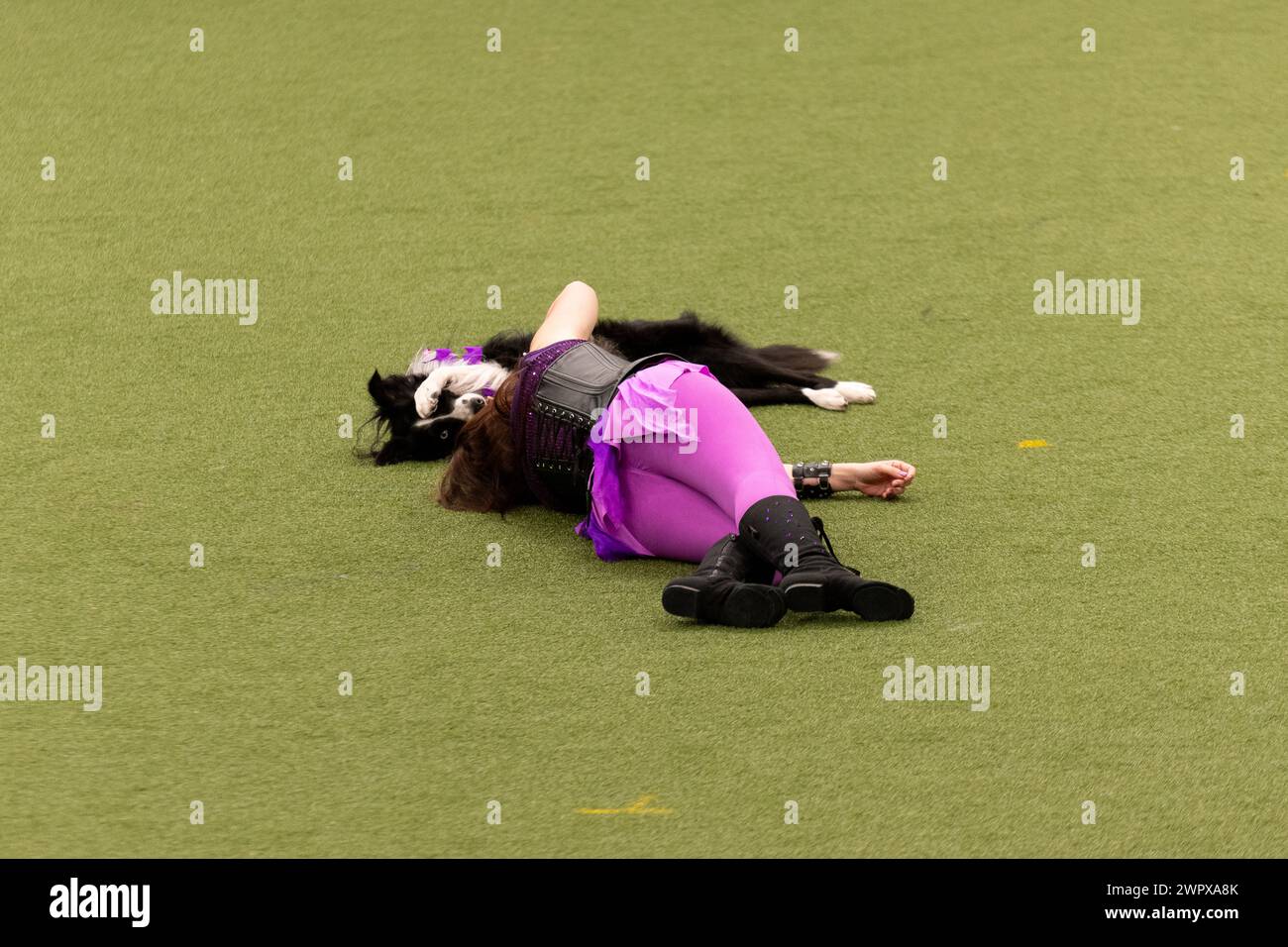 CRUFTS 2024 MAIN ARENA INTERNATIONAL FREESTYLE HEELWORK ALLA FINALE MUSICALE GENTING ARENA Foto Stock