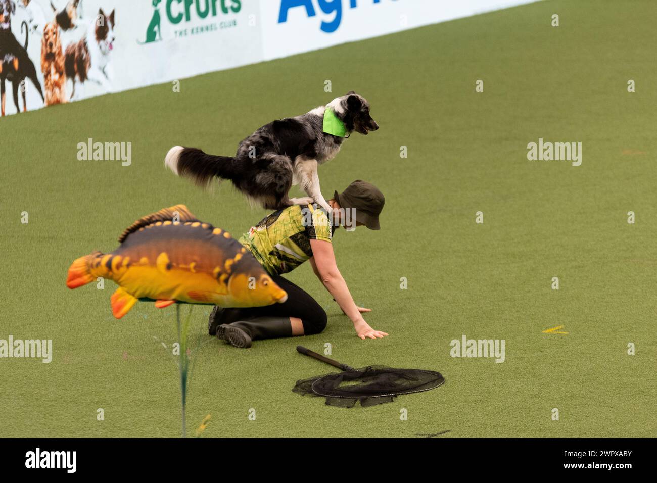 CRUFTS 2024 MAIN ARENA INTERNATIONAL FREESTYLE HEELWORK ALLA FINALE MUSICALE GENTING ARENA Foto Stock