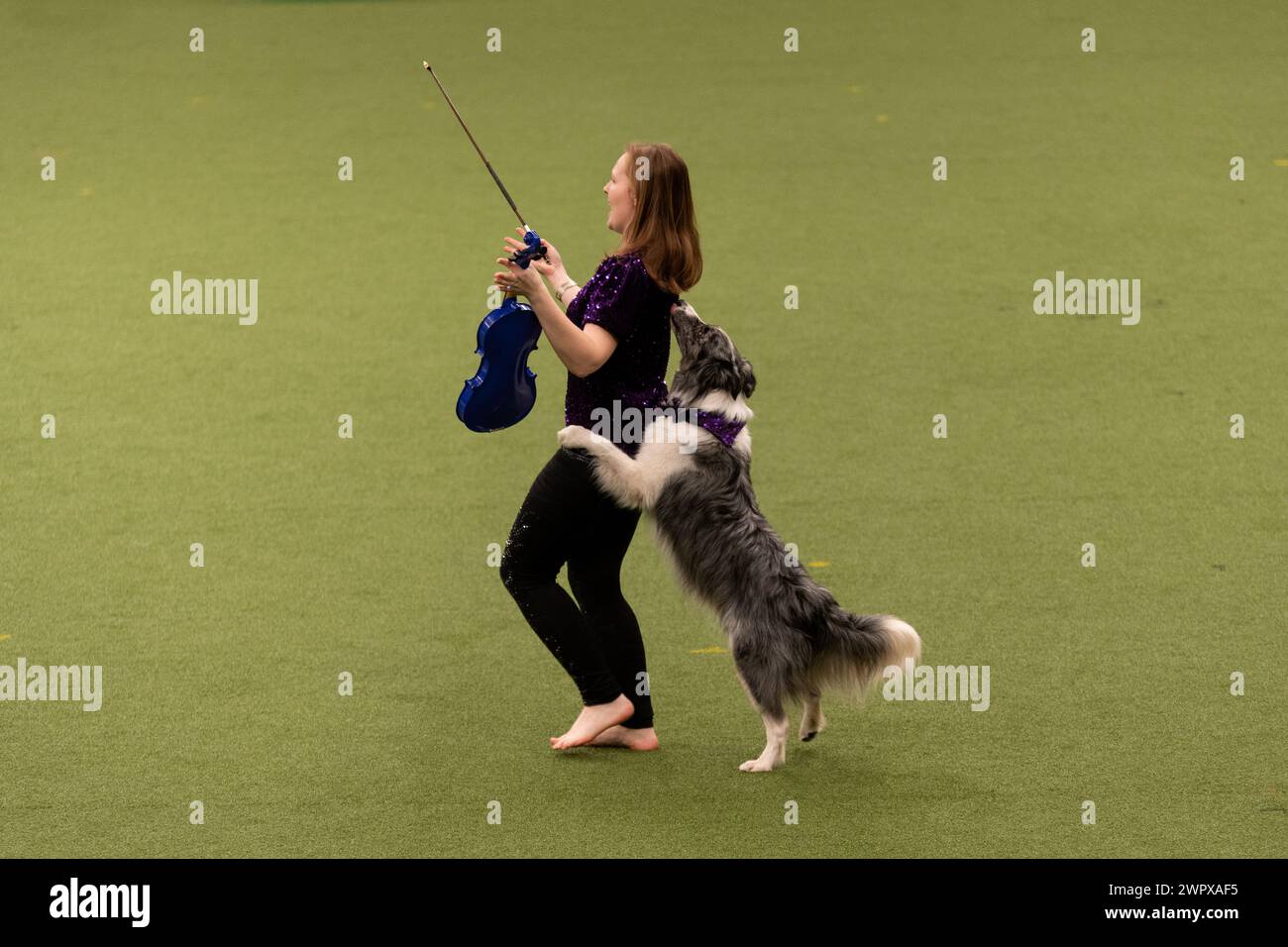 CRUFTS 2024 MAIN ARENA INTERNATIONAL FREESTYLE HEELWORK ALLA FINALE MUSICALE GENTING ARENA Foto Stock