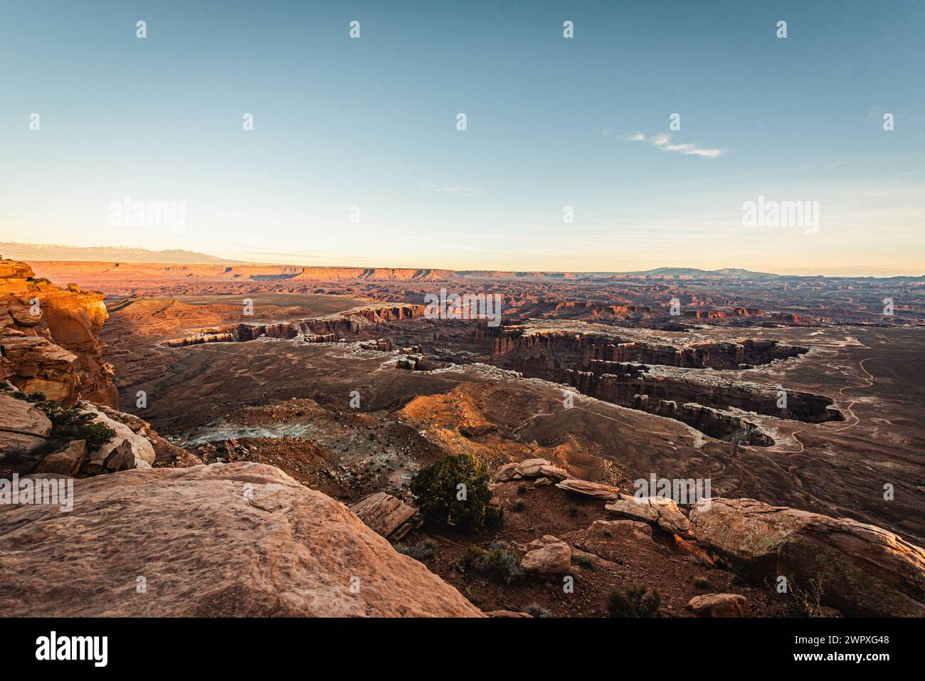 Vista dei profondi canyon formati dall'erosione del fiume Colorado, nel Canyonlands National Park Foto Stock