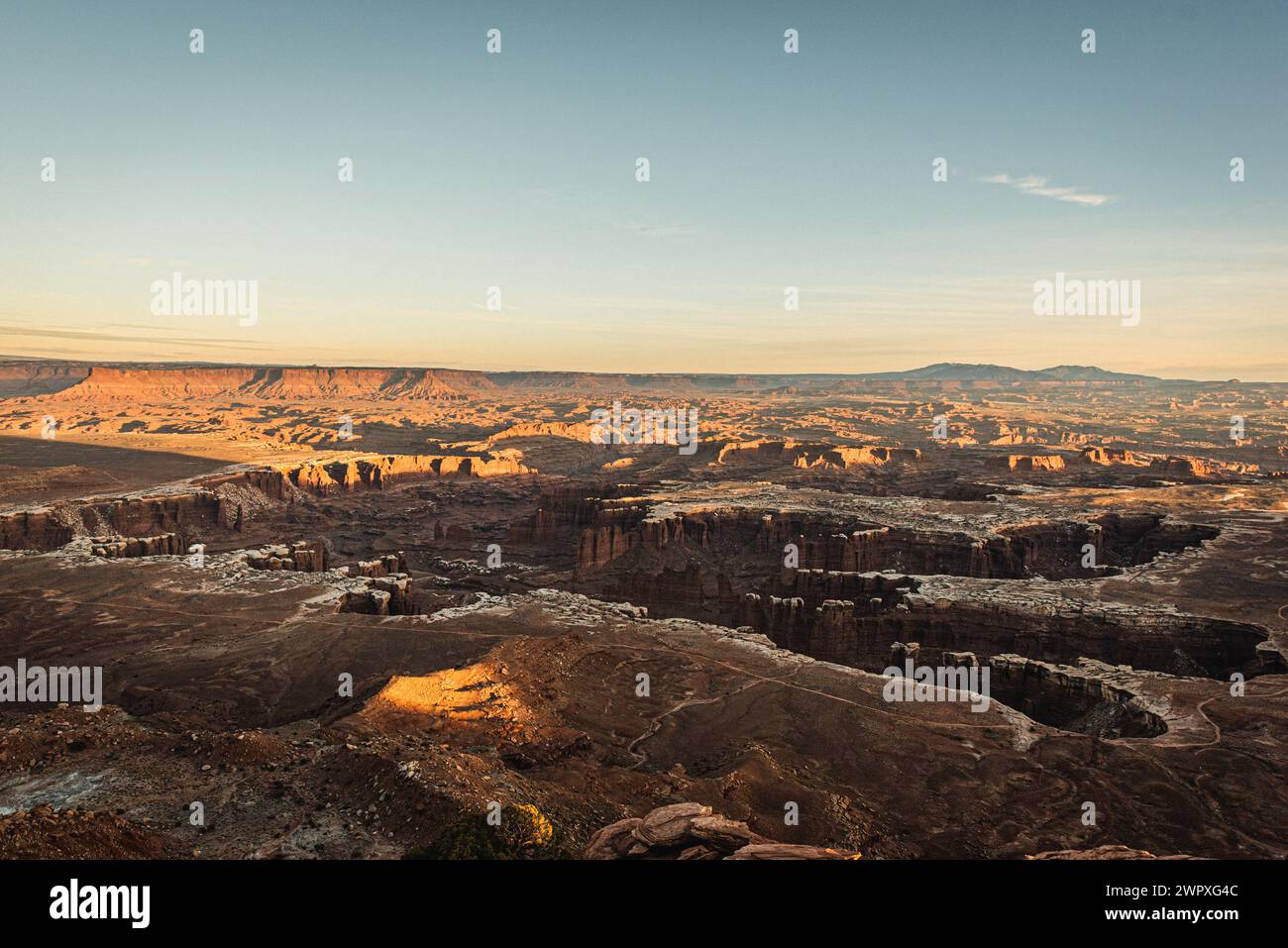 Vista dei profondi canyon formati dall'erosione del fiume Colorado, nel Canyonlands National Park Foto Stock