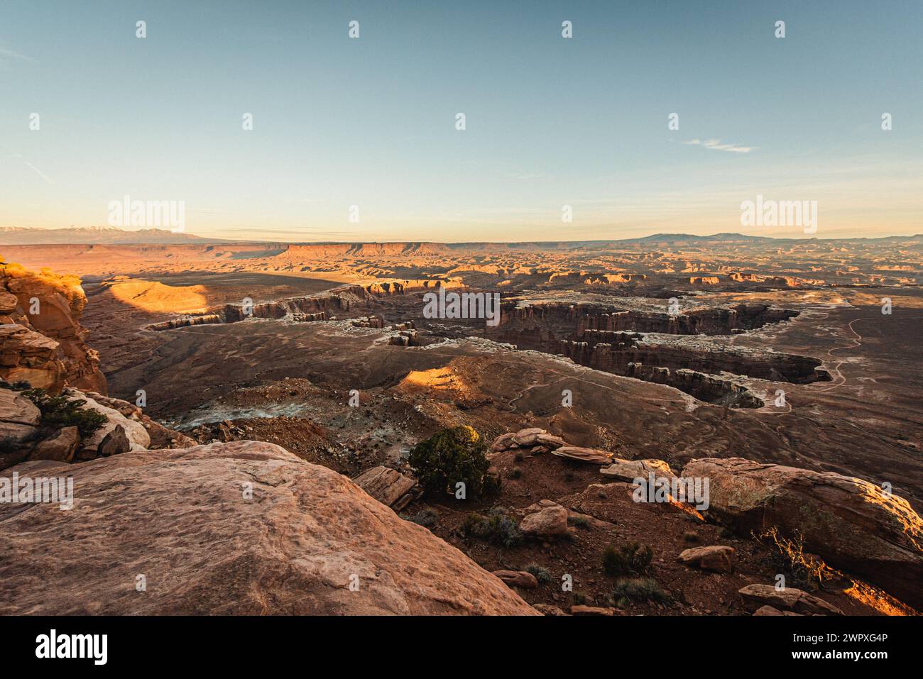 Vista dei profondi canyon formati dall'erosione del fiume Colorado, nel Canyonlands National Park Foto Stock