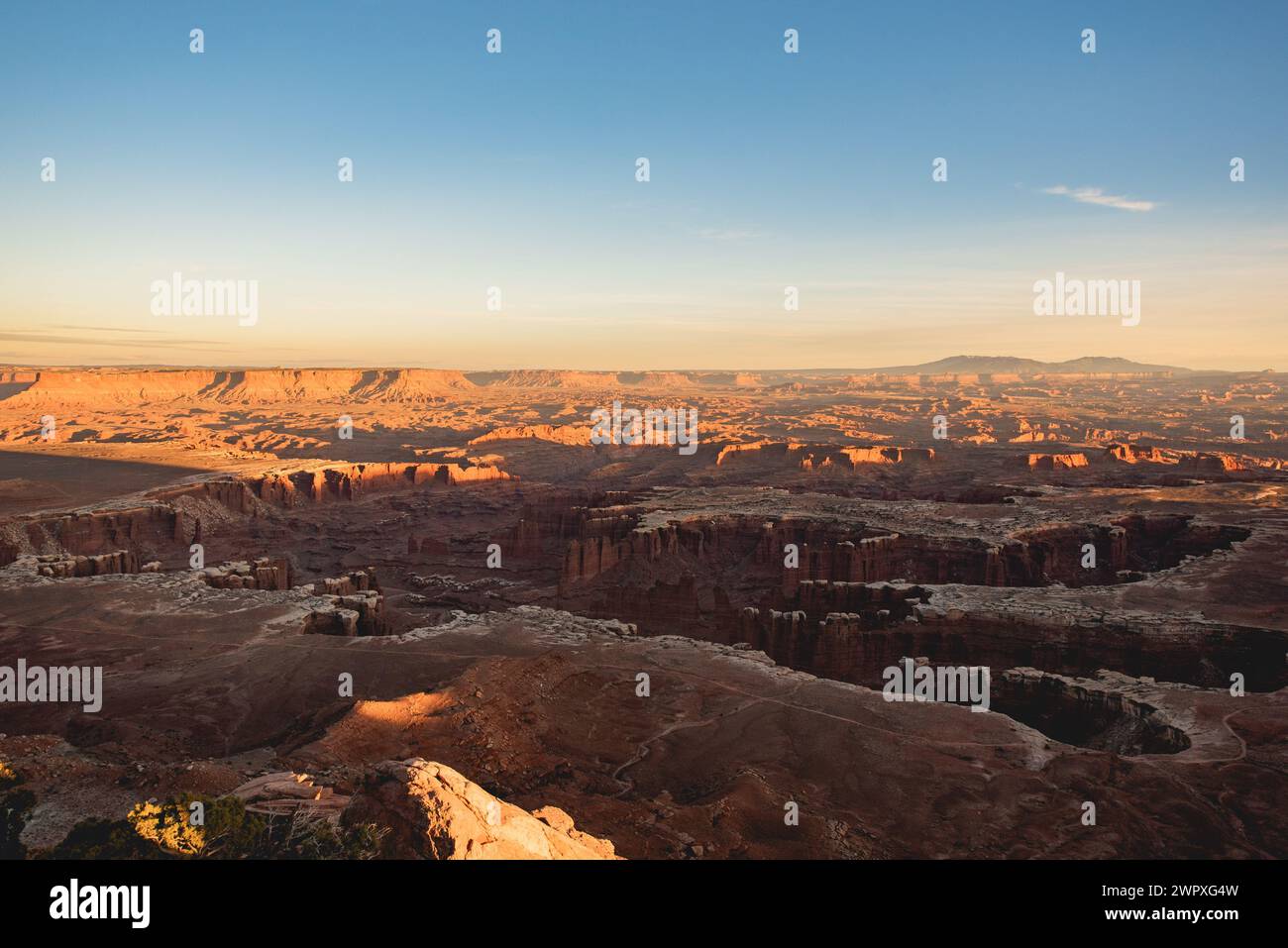 Vista dei profondi canyon formati dall'erosione del fiume Colorado, nel Canyonlands National Park Foto Stock