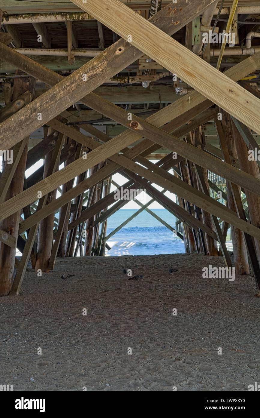 Piccioni nella sabbia sotto il molo, onde oceaniche sulla spiaggia dell'Oceano Atlantico Foto Stock