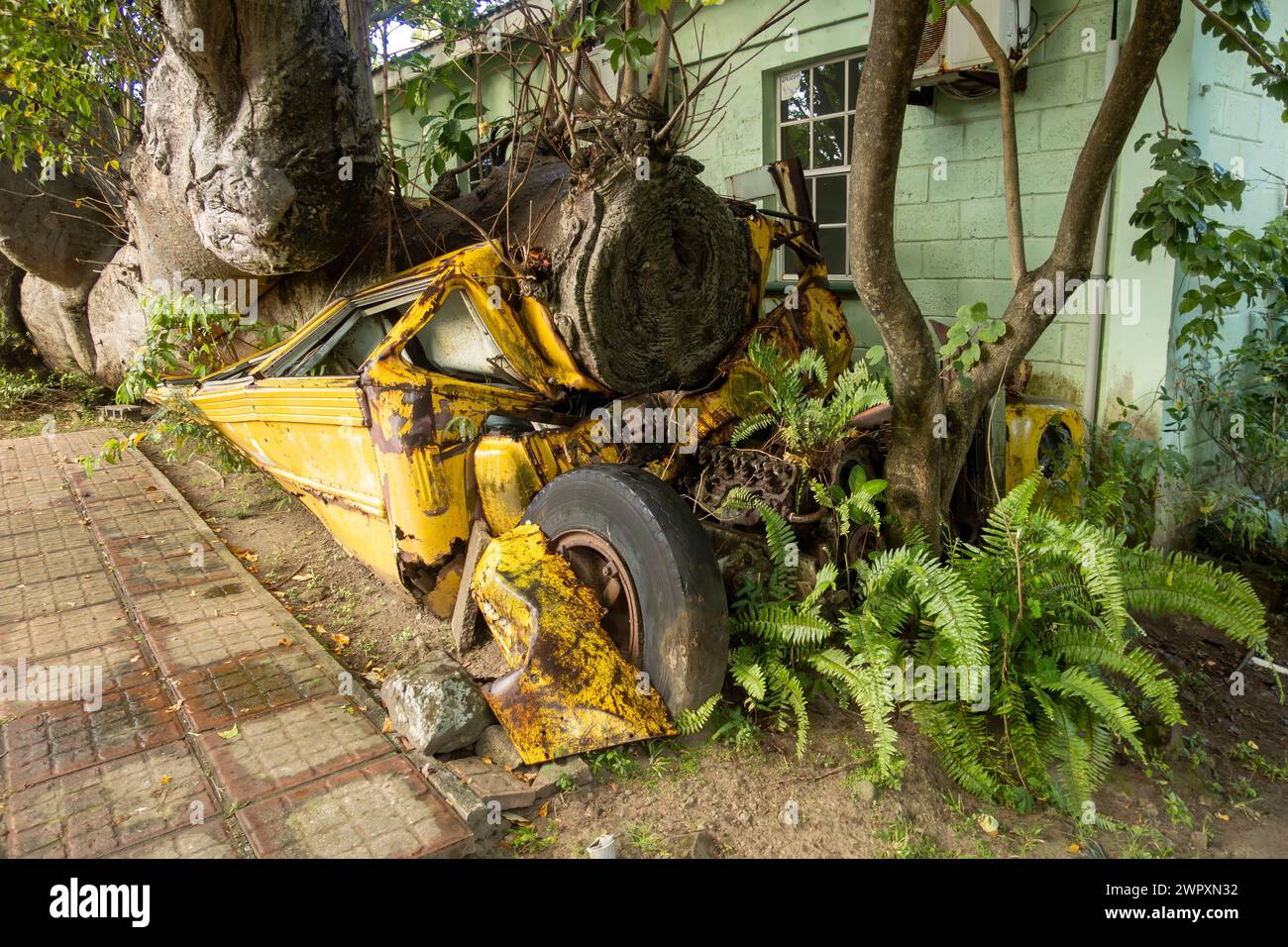 Un vecchio scuolabus schiacciato da un albero caduto nei Giardini Botanici di Roseau, Dominica Foto Stock