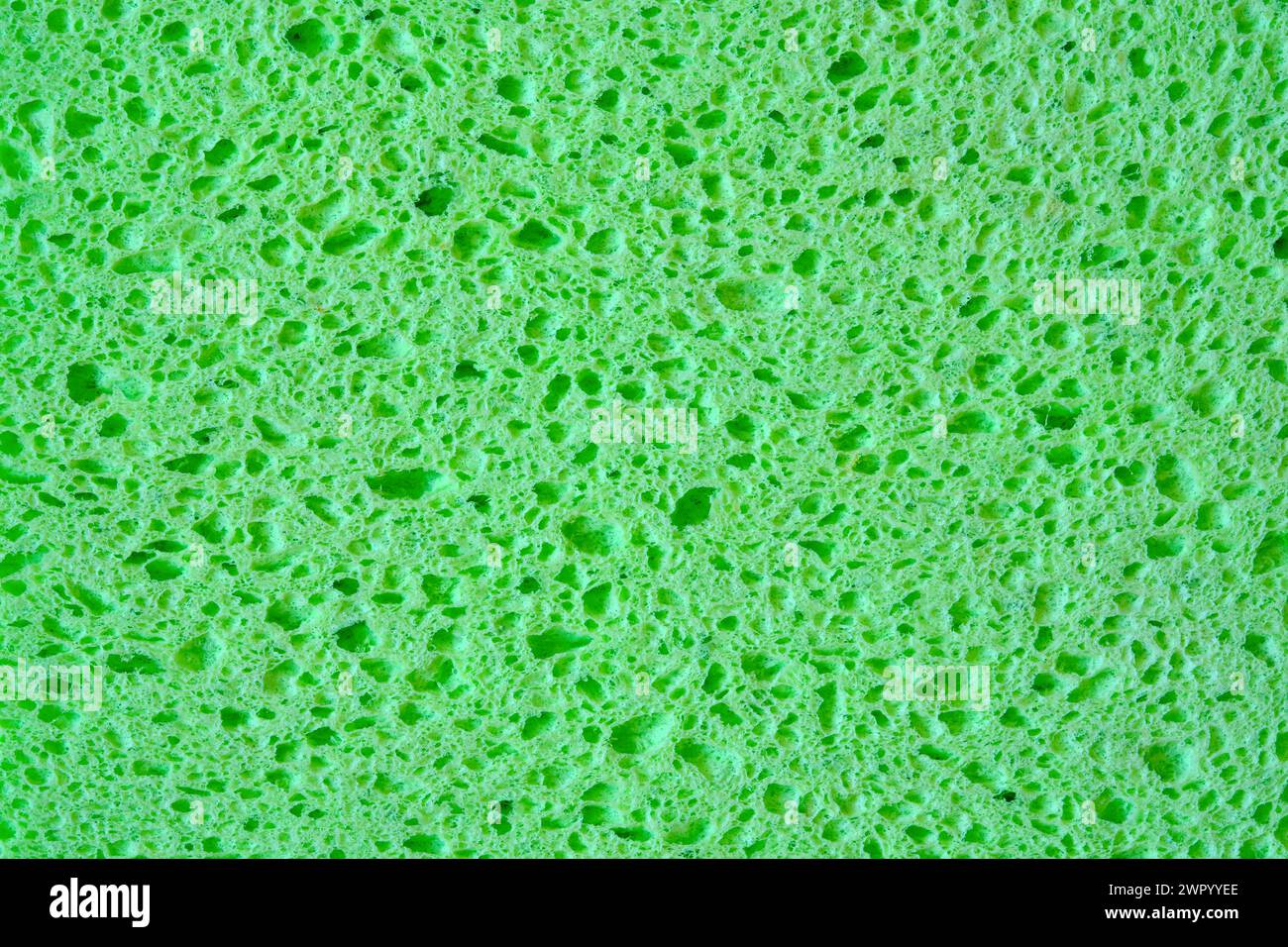 Spugna verde con sfondo texture pori per la grafica. Foto macro di primo piano di una spugna domestica. Foto Stock