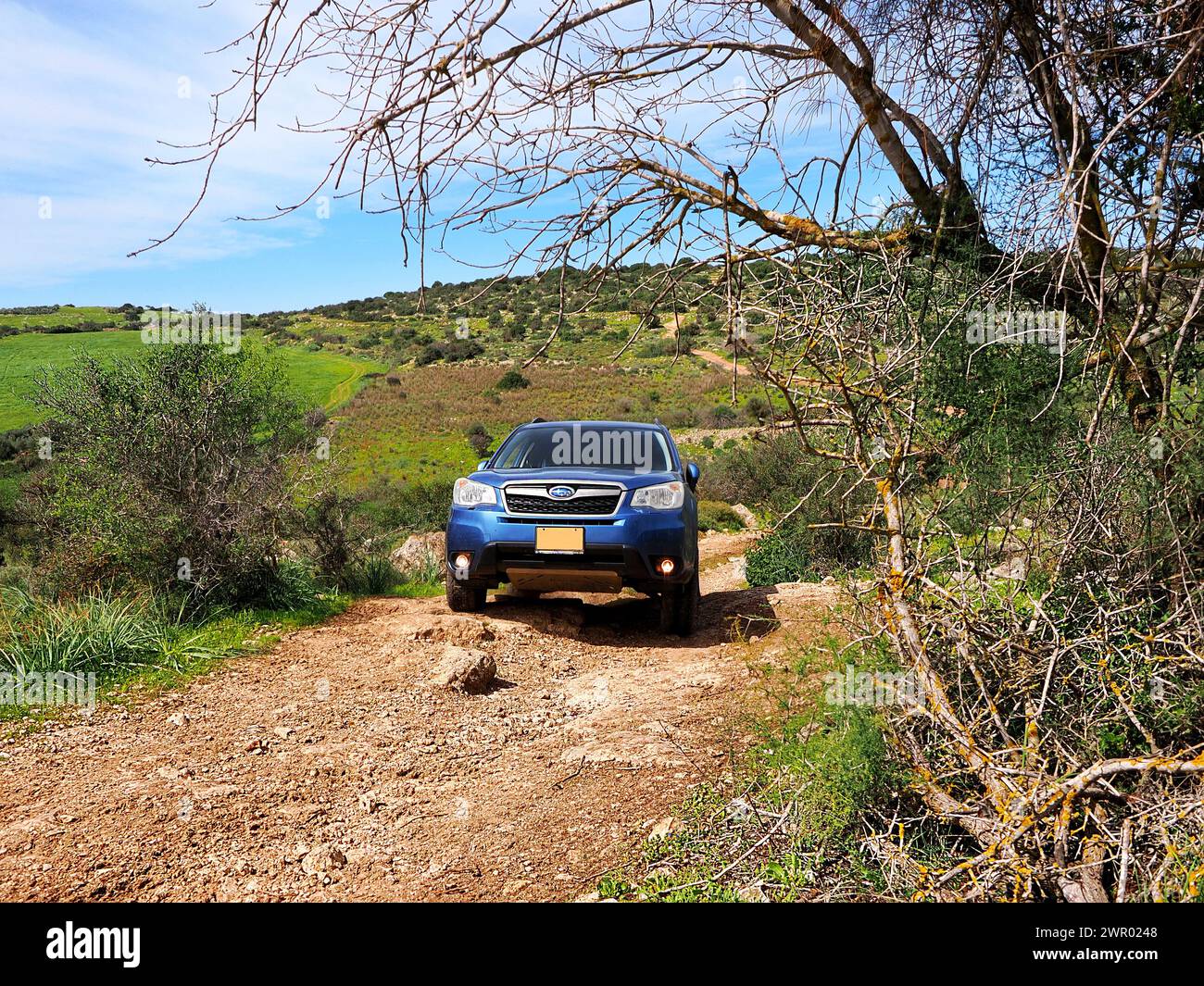 Blue Subaru Forester per una passeggiata fuori strada. Modello 2014. Foto Stock