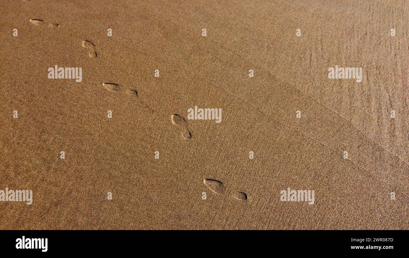 Le impronte sono visibili sulla sabbia e conducono in una direzione. Foto Stock