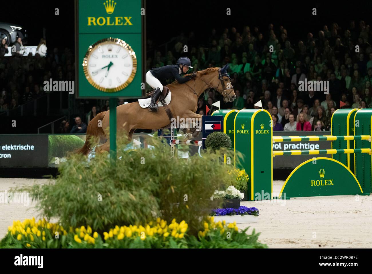 DenBosch, Paesi Bassi - 9 marzo 2024. Angelica Augustsson Zanotelli svedese su Dyrky Du Carry gareggia nella classe 1 45 m Indoor Derby al 2 Foto Stock